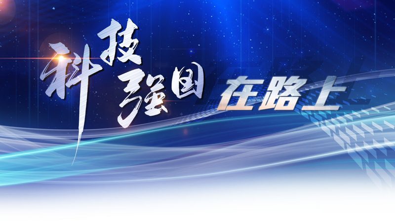 数字化解决方案代理加盟，合同条款全解析**
